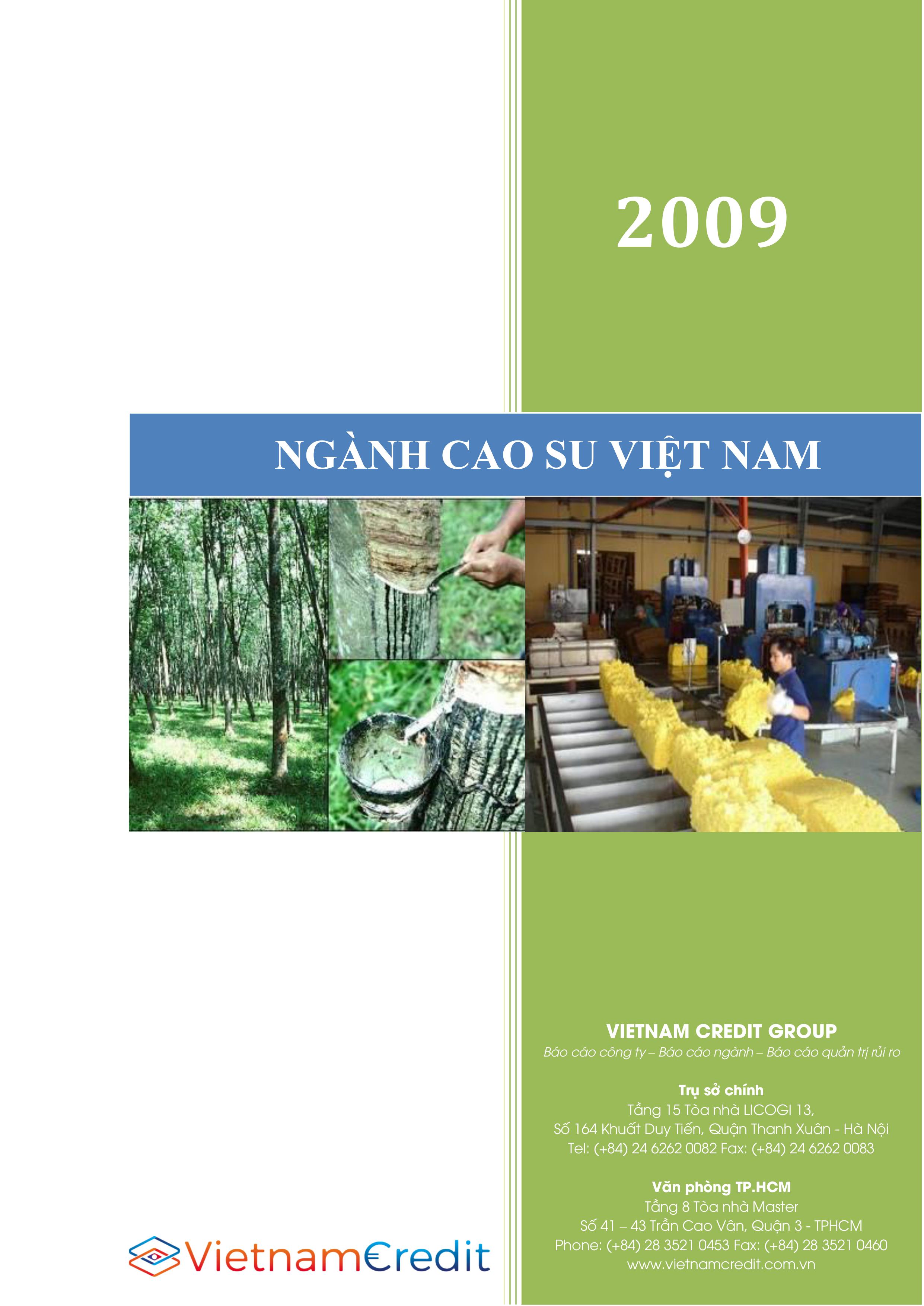 Báo cáo ngành Cao su Việt Nam 2009